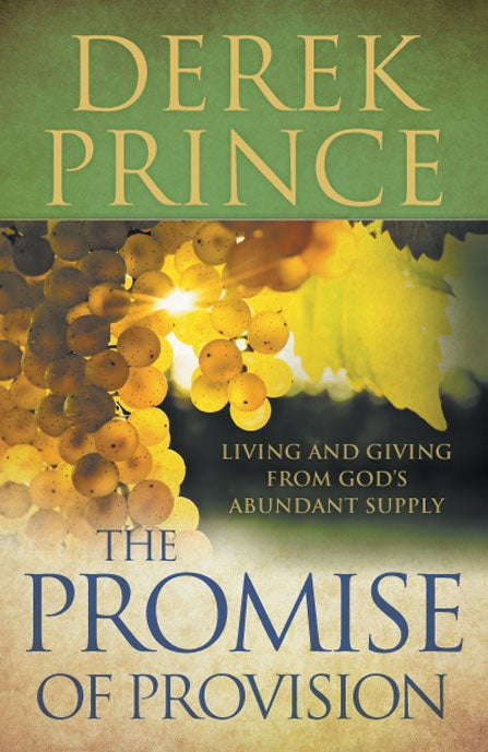 Promise Of Provision, The