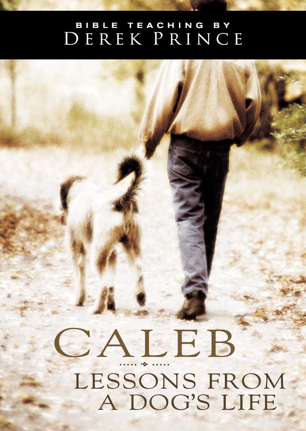 Caleb: Lessons From a Dog’s Life