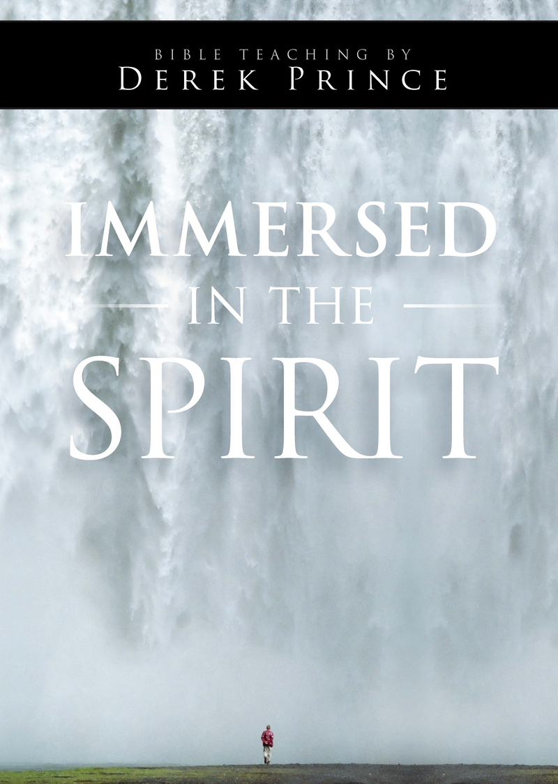 Immersed In The Spirit