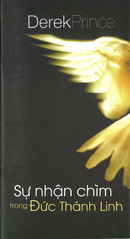 Immersion In The Spirit